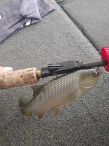 ALL-IN-ONE Mini Hook / Weight Keeper - Image 7