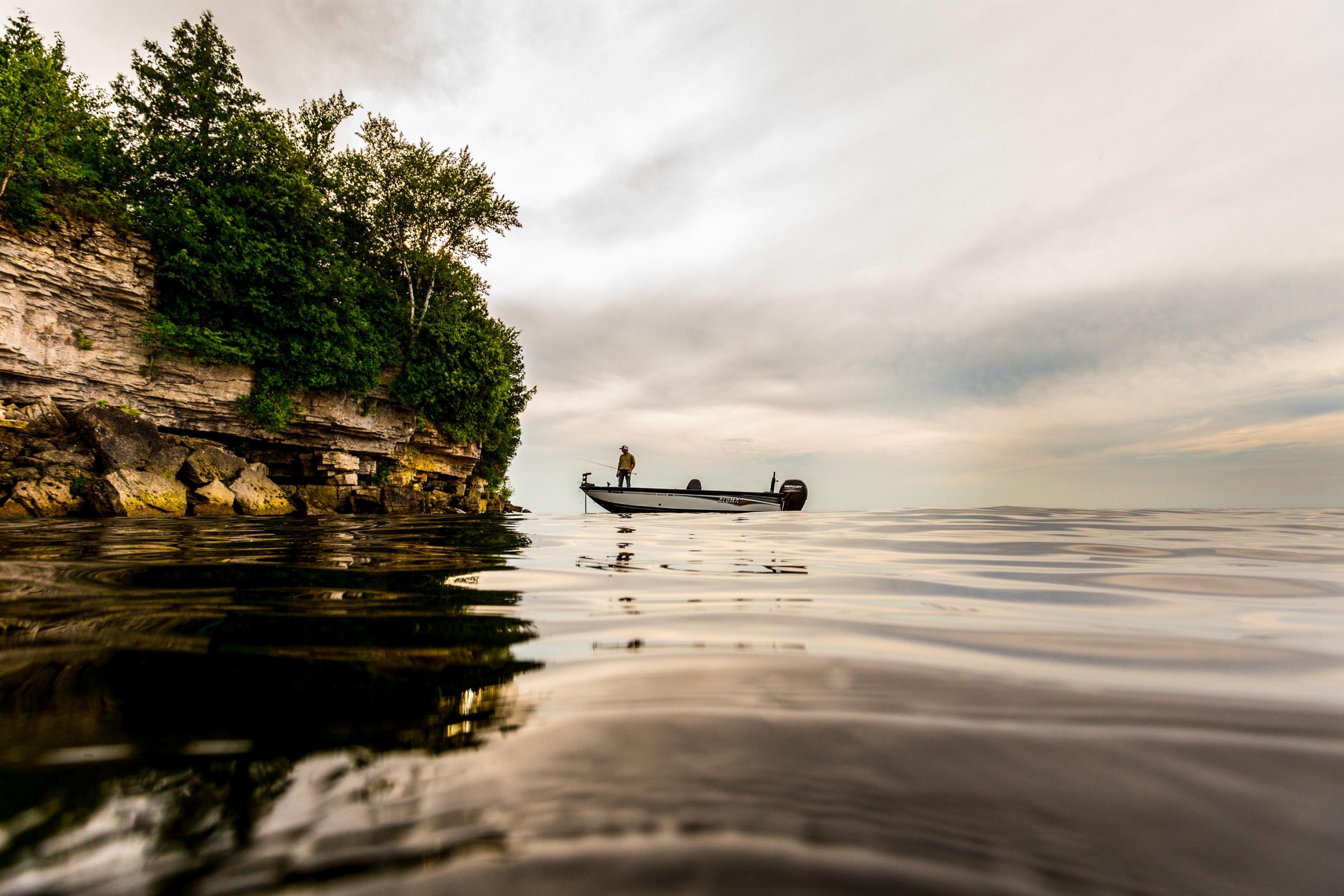 Garmin Electronics 1