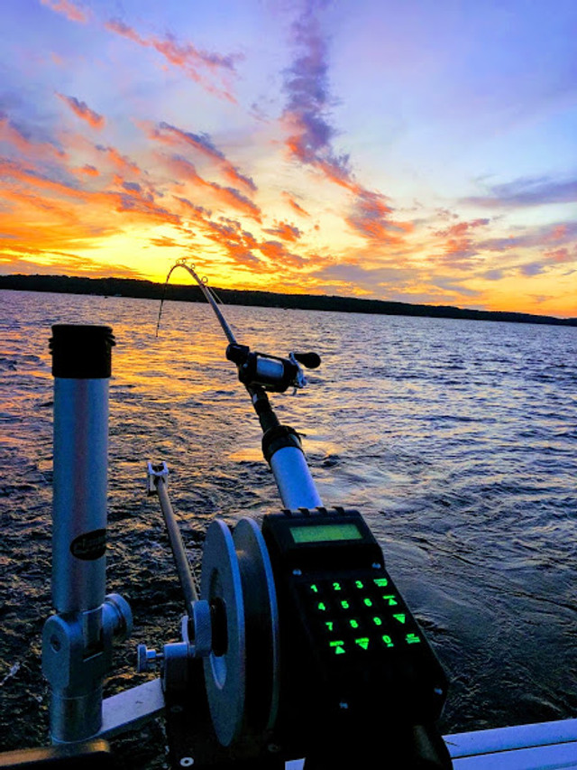 Downrigger Elite Series - Image 2