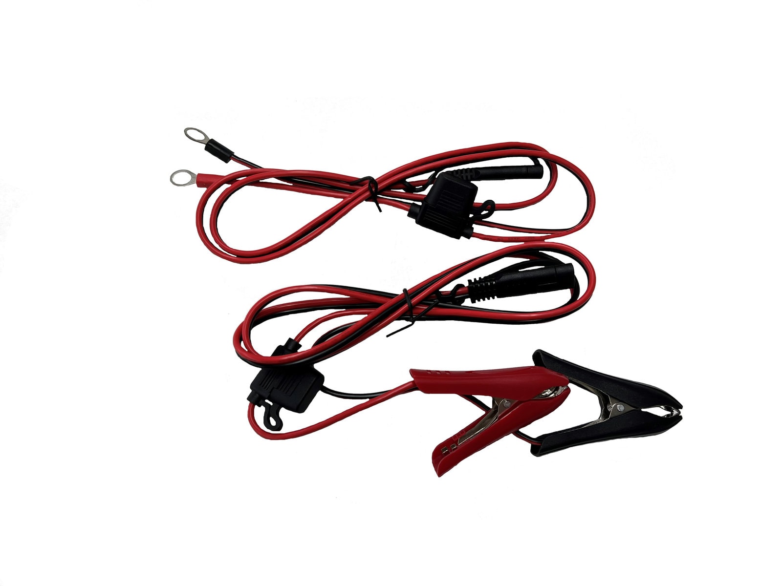 12V 20A Single Charger - Image 2