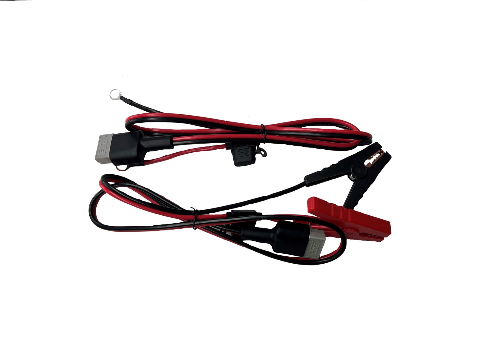 12V 30A Single Charger - Image 2